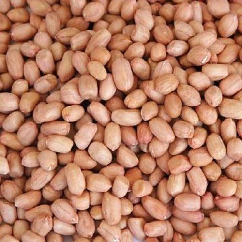 Top Peanut Exporter | Wholesale Supply | Global Delivery