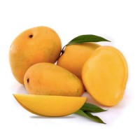 Buy Fresh Mangoes in Bulk – Export-Grade Quality, Global Shipping