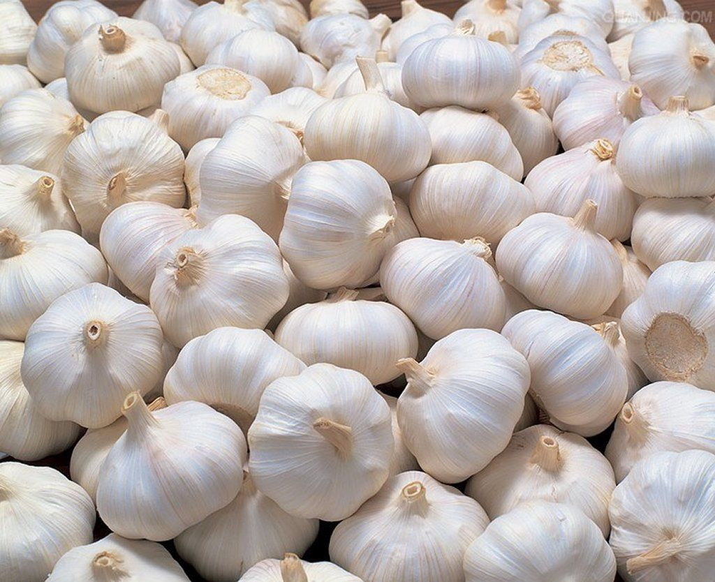 Buy White Garlic – Best Price Per Ton | Global Delivery Available