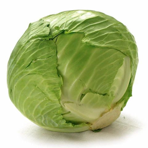 Buy Fresh Cabbages in Bulk – Green, White & Organic Varieties