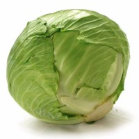Buy Fresh Cabbages in Bulk – Green, White & Organic Varieties