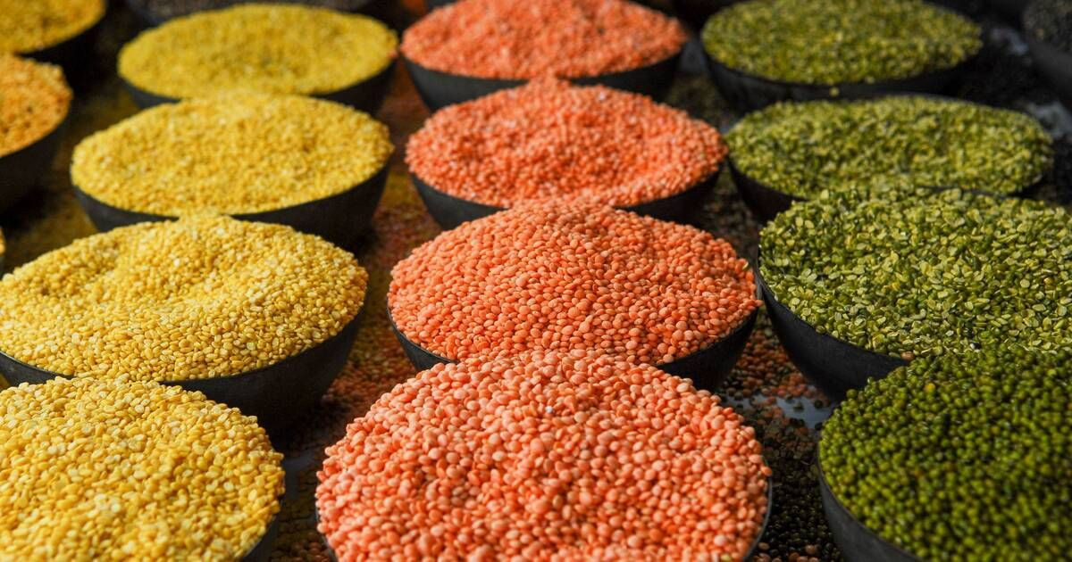 Buy high-protein lentils in 25kg/50kg bags