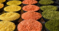 Buy high-protein lentils in 25kg/50kg bags