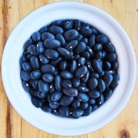 Premium Quality Black Beans Top black beans exporter from South Africa
