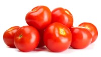 Buy Fresh Tomatoes in Bulk – Organic & Export-Grade Quality