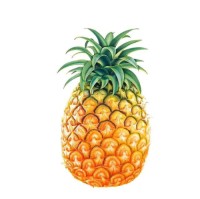 Wholesale Fresh Pineapples – Perfect for Juice & Retail
