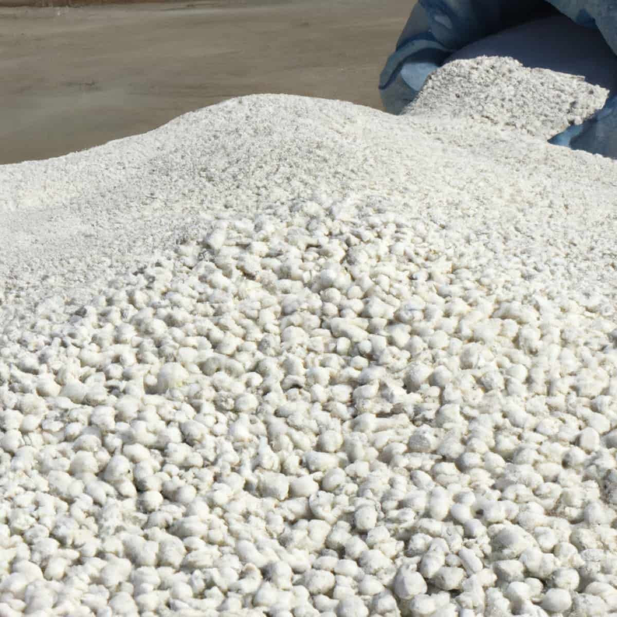 High-Quality Rock Phosphate Fertilizer – Organic Phosphorus Boost for Crops & Gardens | Bulk & Retail Supply
