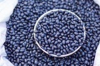 Premium Quality Black Beans Top black beans exporter from South Africa