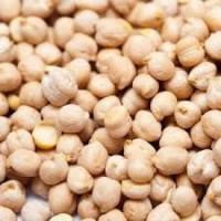 Organic chickpeas with competitive FOB/CIF pricing