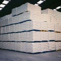 Bulk ICUMSA 45 White Sugar – Certified & Ready to Ship