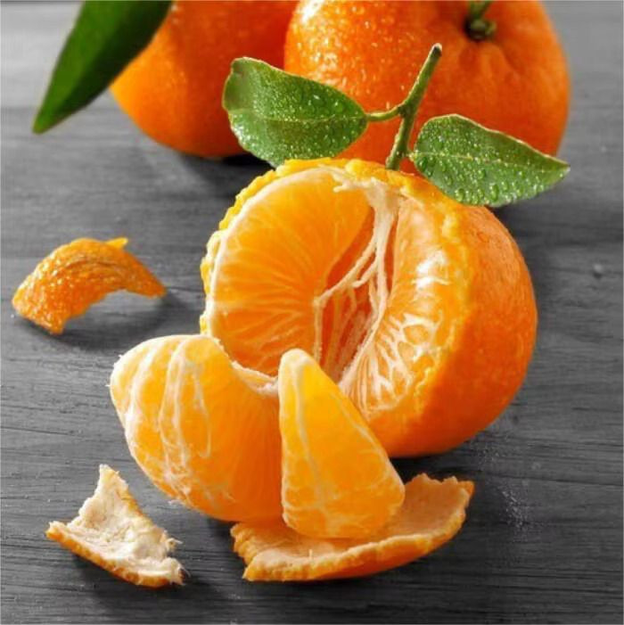 Certified Orange Supplier – Global Shipping, High Juice Yield