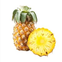 Wholesale Fresh Pineapples – Perfect for Juice & Retail