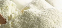 High-Quality Grade A Milk Powder – Non-GMO & Certified