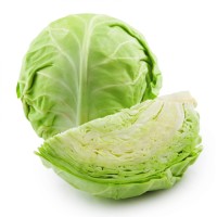 Buy Fresh Cabbages in Bulk – Green, White & Organic Varieties