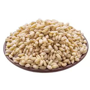High Quality Wheat Grain for Sale