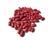 “Kidney Beans Supplier from South Africa to UAE/India/Europe/USA/Worldwide