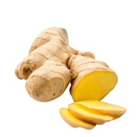Top Ginger Exporter | Wholesale Fresh Ginger | Global Delivery