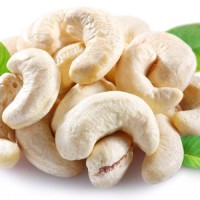 Bulk Cashew Nuts – Vacuum Packed | Export Ready
