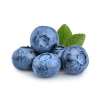 Premium Blueberries for Health Brands & Processors – Global Delivery