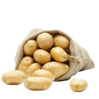 Premium Potatoes for Sale – Food-Grade & Global Shipping