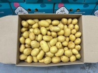 Premium Potatoes for Sale – Food-Grade & Global Shipping