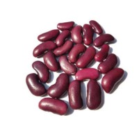 “Kidney Beans Supplier from South Africa to UAE/India/Europe/USA/Worldwide