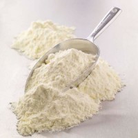 Buy Skimmed Milk Powder – Bulk Supply & Wholesale