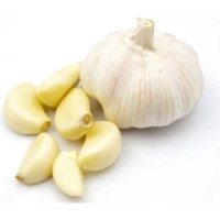Buy White Garlic – Best Price Per Ton | Global Delivery Available