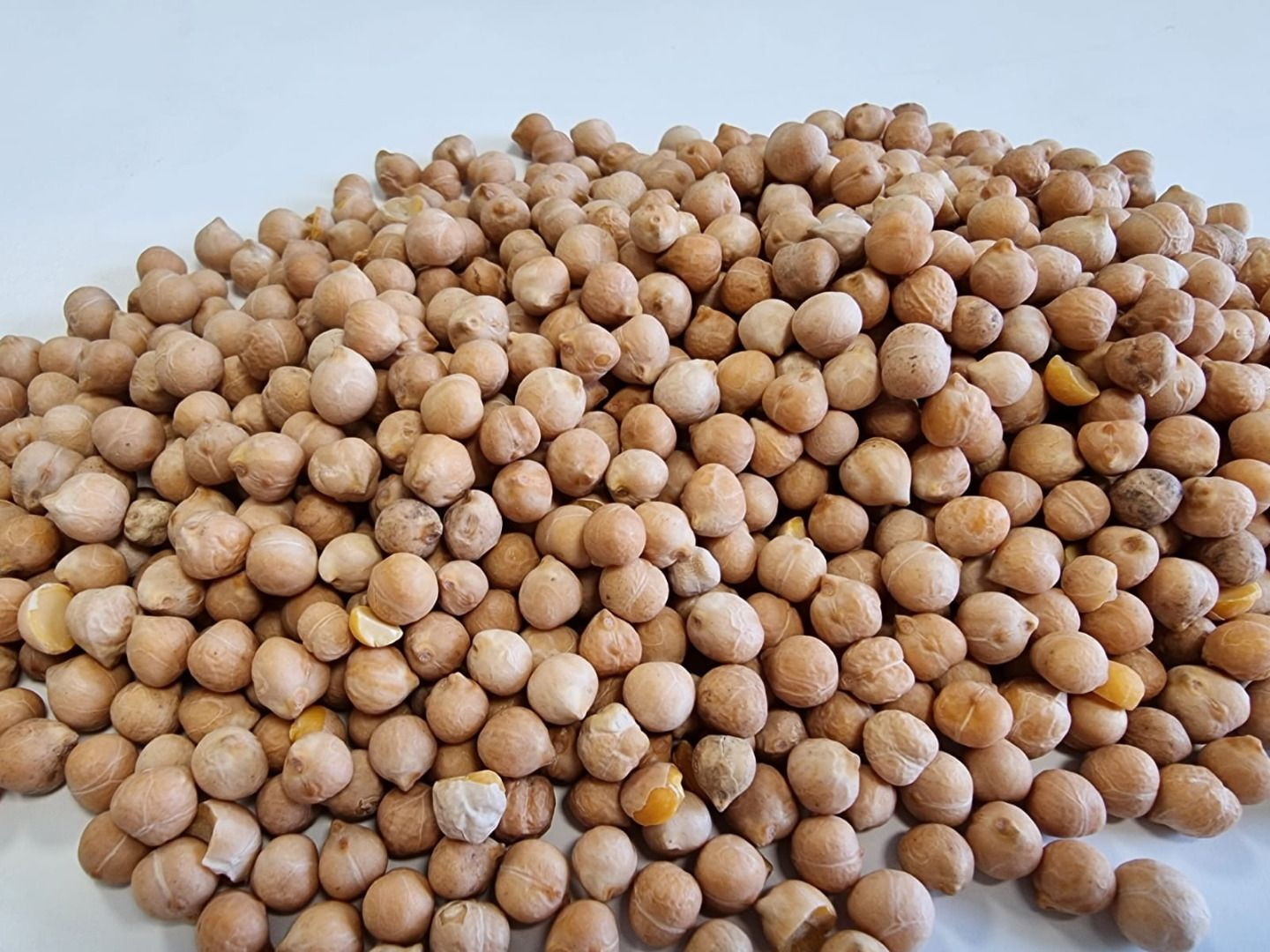 Organic chickpeas with competitive FOB/CIF pricing