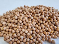 Organic chickpeas with competitive FOB/CIF pricing