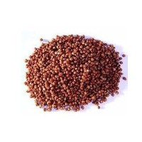 Bulk Sorghum Grain Exporter