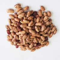 “Kidney Beans Supplier from South Africa to UAE/India/Europe/USA/Worldwide
