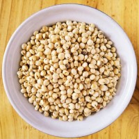 Bulk Sorghum Grain Exporter