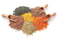 Buy high-protein lentils in 25kg/50kg bags
