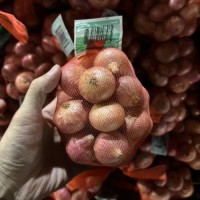 Premium Onions for Sale – Food-Grade & Export-Ready